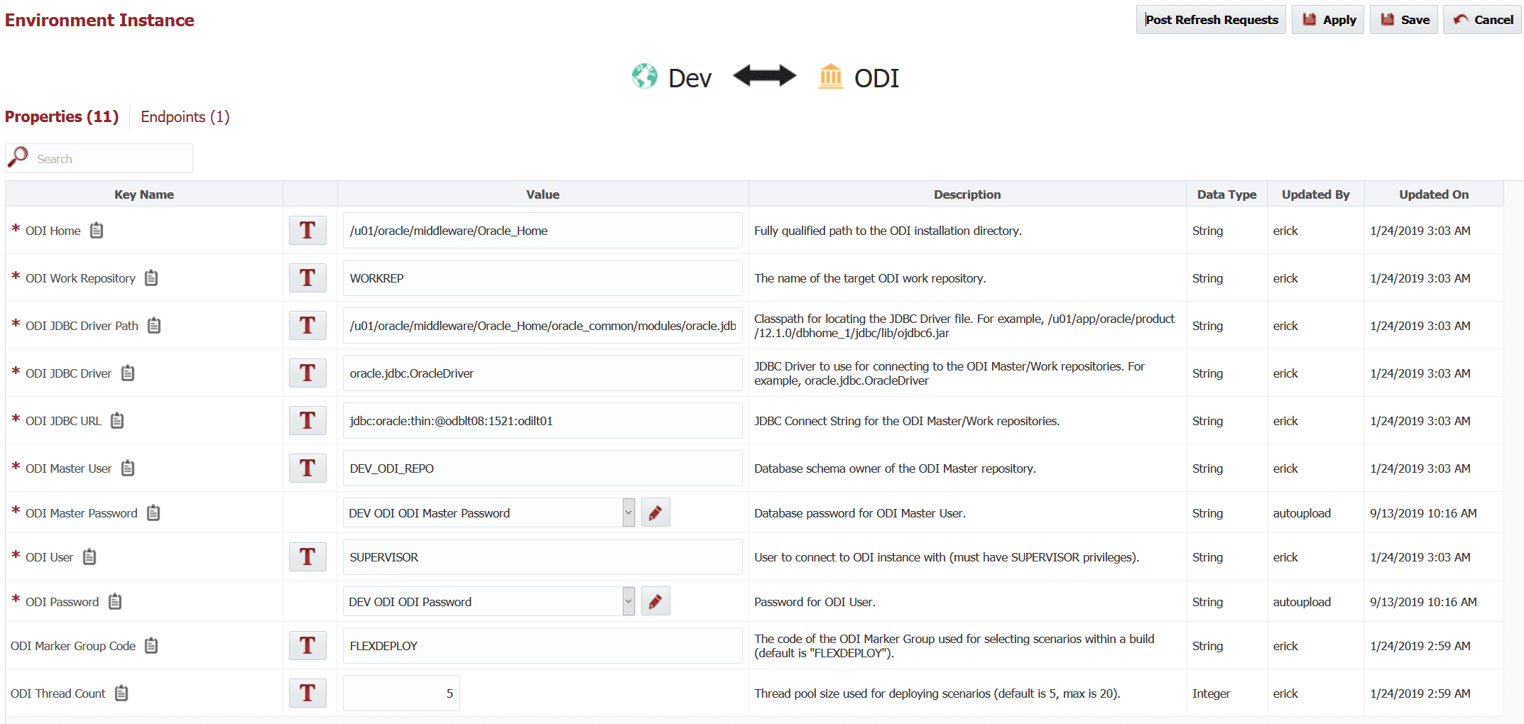 Environment Instance Properties