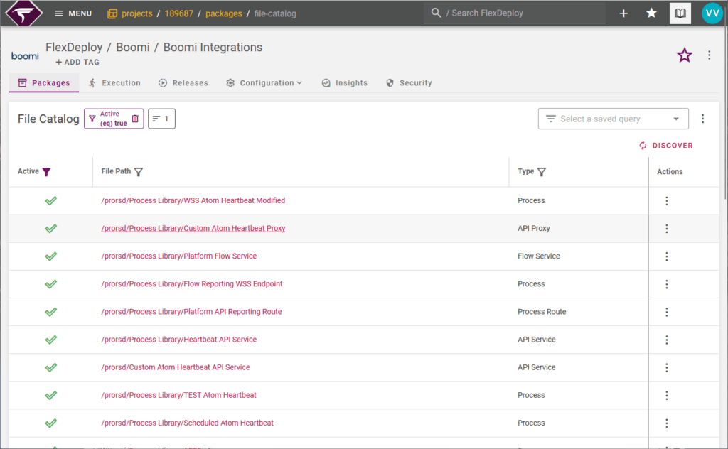 Boomi File Catalog