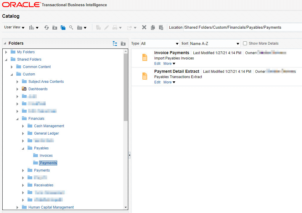 An OTBI project that Manages the WebCatalog Files