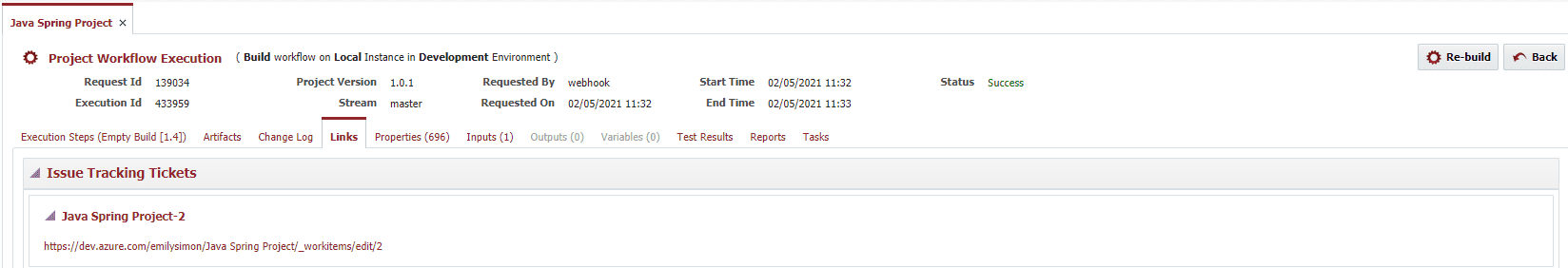 Project Workflow Execution window