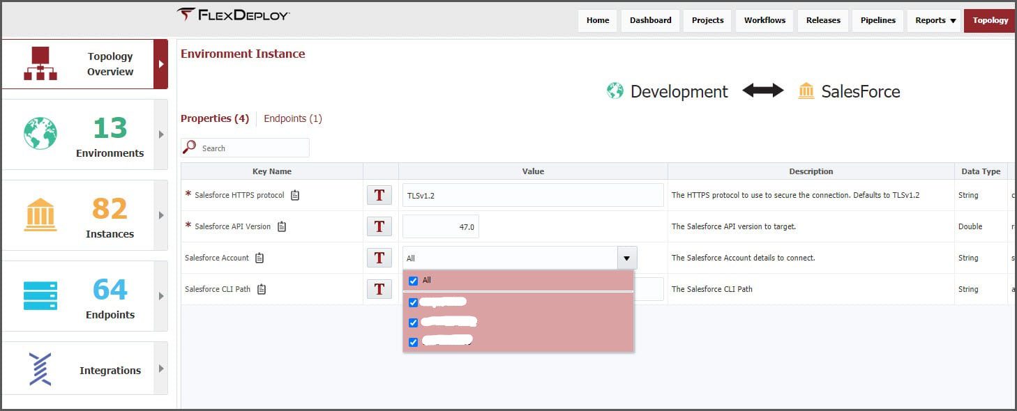 Environment Instance for Salesforce in FlexDeploy