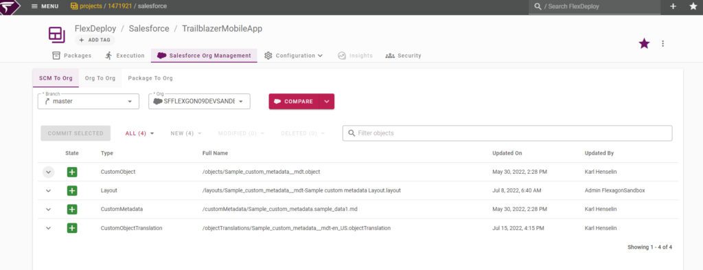 Select the Custom Object, Layout, and Custom Metadata to commit to your version control system.