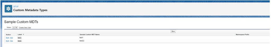 A setup screen from Customer Medadata Types.