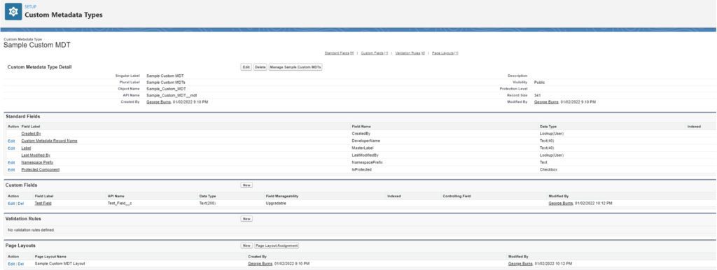 Custom Data Type setup details contain standard and custom fields, validation rules, and page layouts.
